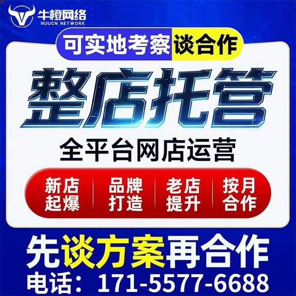 鹤岗电商代运营