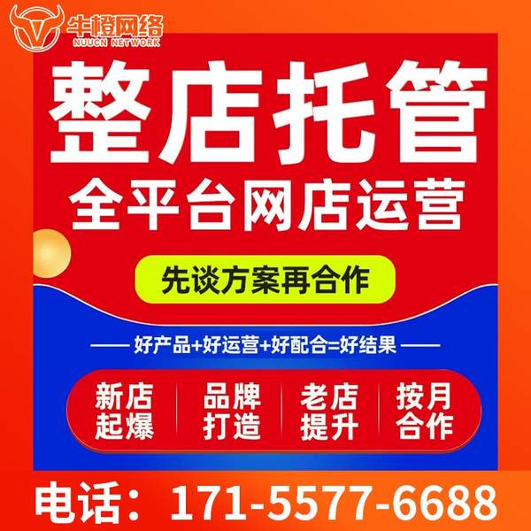 鹤岗电商代运营