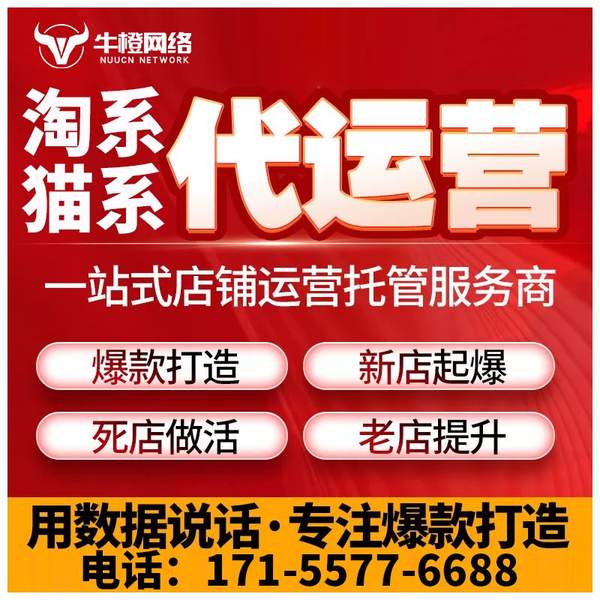 鹤岗电商代运营